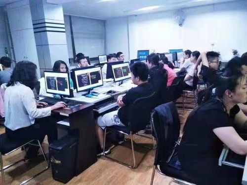 德州师大电脑设计培训学校开设了哪些影视动画编辑类专业
