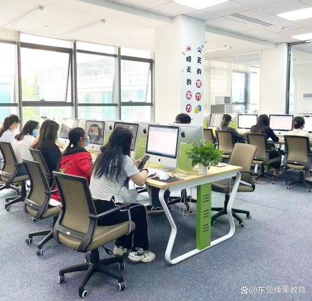 东莞清溪电脑培训,办公软件word技巧